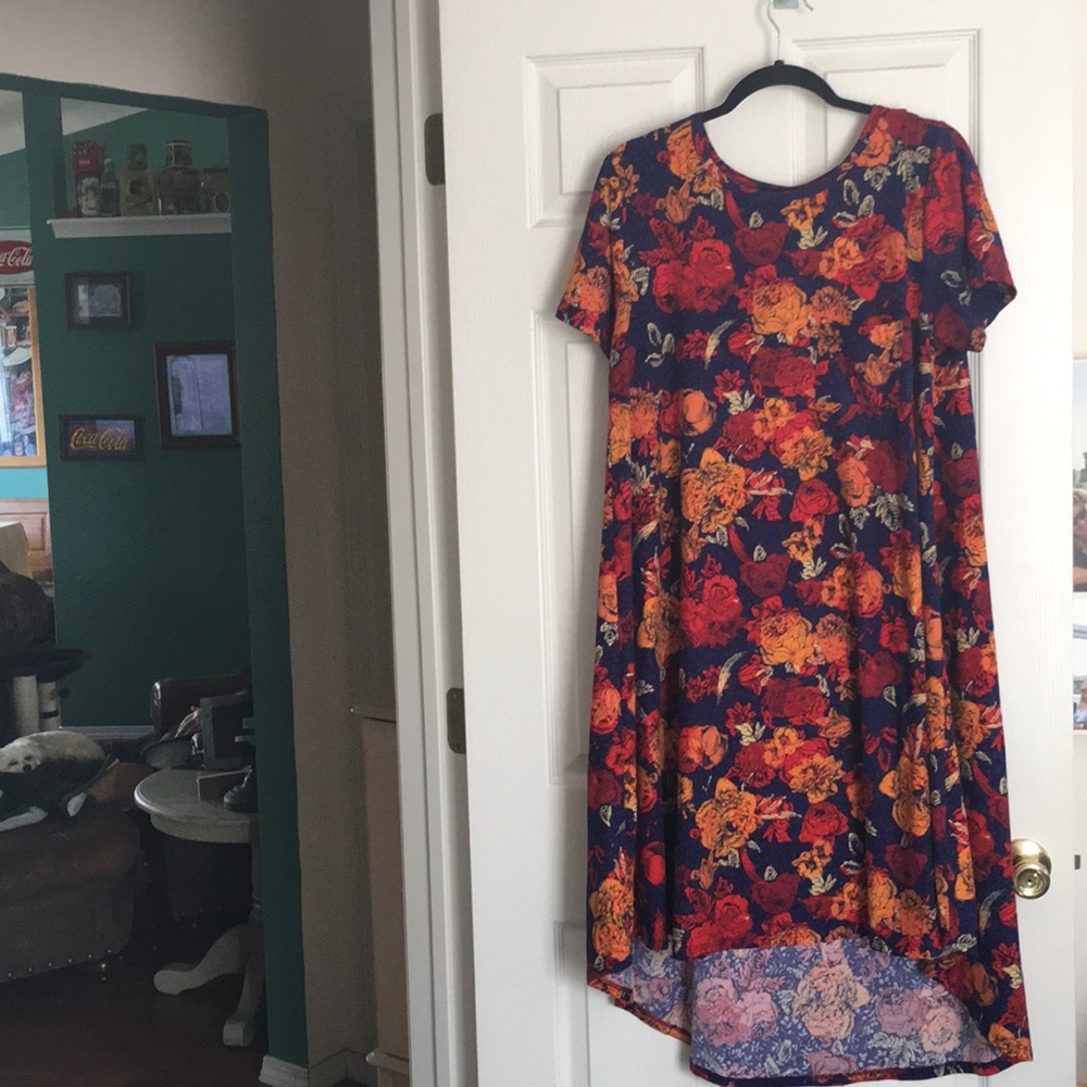 LuLaRoe Carly Dress Size L